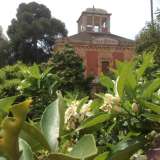Villa Serafina-Spinelli tra i fiori della zagara: uno dei suoi tratti caratteristici � il giardino con l'agrumeto